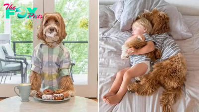 The adorable bond between the boy and the puppy is inseparable in every moment