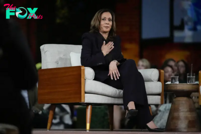 What We Know About Kamala Harris’ Gun Ownership