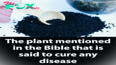 The Plant Described in the Bible as Having the Ability to Heal All Ailments