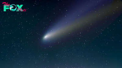 Bright comet Tsuchinshan-ATLAS could be visible without a telescope for the 1st time in 80,000 years. Here's how to see it this week.