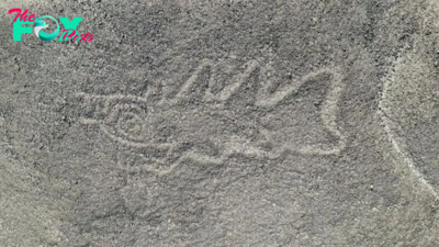 'Knife-wielding orca' and alien-looking figures among 300 Nazca Lines discovered in groundbreaking AI study