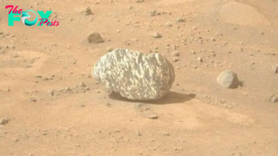 Weird 'zebra rock' on Mars is unlike anything seen before on Red Planet, NASA says