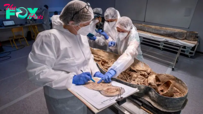 Mysterious 'horseman' from lead coffin unearthed in Notre Dame Cathedral finally identified