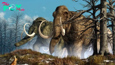 Pollen allergies drove woolly mammoths to extinction, study claims