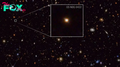 James Webb telescope spots rare 'missing link' galaxy at the dawn of time