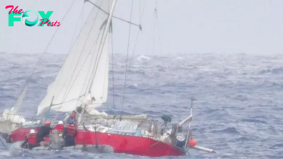 Mom, Daughter, and Pets Rescued After Being Stranded 1,000 Miles from Hawaii Due to Hurricane Gilma. Cau