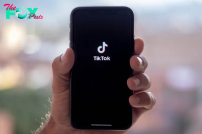 TikTok teams up with WHO to tackle medical misinformation