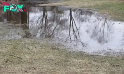 My Children Returned Home to Discover Our Neighbors Dumping Dirt into Our Lake, Fate Dealt with Them Before I Had the Chance