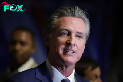 Gavin Newsom Blocks Contentious AI Safety Bill in California