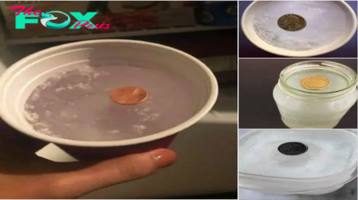 Why you should always put a coin in the freezer before you leave home