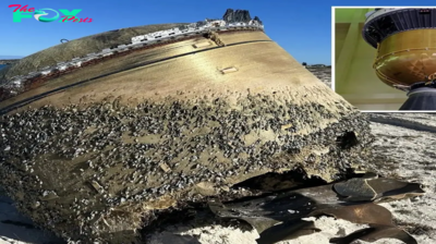 A Mysterious Box Washed Up on Shore—What Was Inside Left Everyone Speechless!