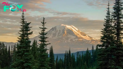 Record spike in earthquakes at Washington's 'high threat' volcano sends researchers scrambling for answers