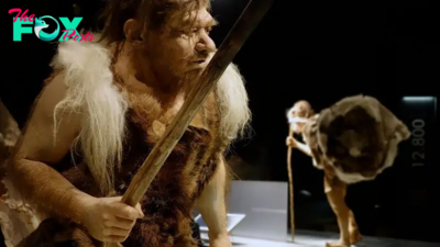 Did Neanderthals wear clothes?