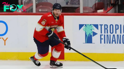 Florida Panthers at Ottawa Senators odds, picks and predictions