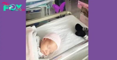 If you spot a purple butterfly sticker near a newborn, it is important to understand its meaning