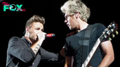 Niall Horan breaks silence on Liam Paynes death after One Direction bandmates reunited in Argentina.Cau