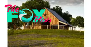 Ever Noticed a Star on a Barn? Here’s What It Really Means