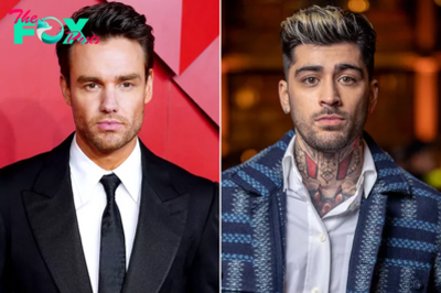 Zayn Malik Postpones U.S. Tour Dates Following the ‘Heartbreaking Loss’ of Former Bandmate Liam Payne.Linh