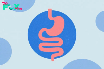 5 Gastroenterologists on the 1 Thing You Should Do Every Day