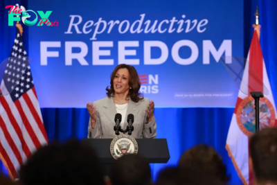 What a Kamala Harris Win Would Mean for Abortion