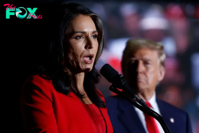 A Brief History of Tulsi Gabbard’s Evolution—From Democratic ‘Star’ to MAGA Republican