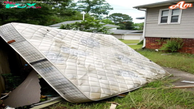 Grandfather Forbids Anyone from Touching His Old Mattress, and After His Death, a Girl Discovers a Hidden Stash Inside