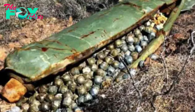 A farmer comes across military equipment hidden on his land. When he finds out who owns it, he is completely astonished