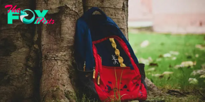 Father Discovers Missing Daughter’s Bag, Finally Knows Where to Look