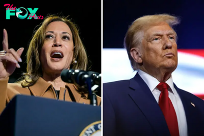 Harris And Trump Cross Paths in North Carolina Days From Vote