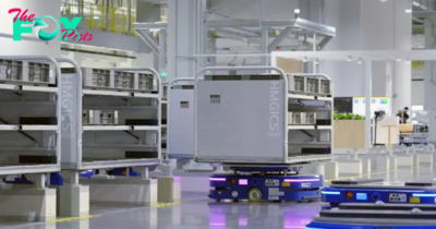 How Warehouse Robots Are Transforming the Future of Logistics