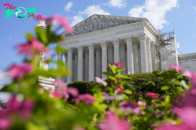 Supreme Court Will Weigh in on New Mostly Black Louisiana Congressional District After Election