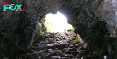 For a quarter of a century, a man has made his home in a cave alongside his faithful dog: Come explore what their life looks like inside this secluded retreat!