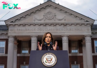 After Sweeping Defeat, Harris Concedes to Trump