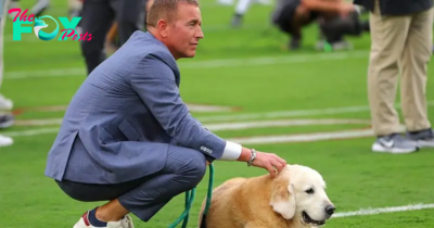 Kirk Herbstreit’s Beloved Dog Ben, an ESPN Fixture, Has Died of Cancer