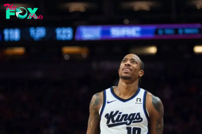 Sacramento Kings vs. Minnesota Timberwolves odds, tips and betting trends | November 15, 2024