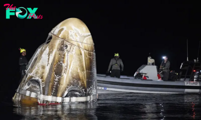 4 Astronauts Return to Earth After Being Delayed by Boeing’s Capsule Trouble and Hurricane Milton