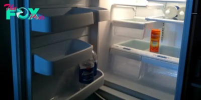 My MIL Threw Away All My Food from the Fridge – I Responded on Her Birthday