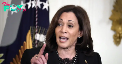 ‘Blacklash’ Over Kamala Harris Campaign Spending On Al Sharpton, Beyoncé, Megan Thee Stallion, And Other Celebs