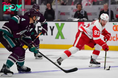 Anaheim Ducks vs Detroit Red Wings Prediction 11-15-24 NHL Picks