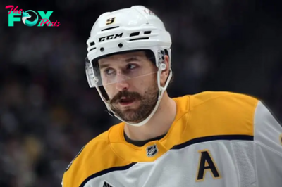 Nashville Predators vs. Calgary Flames odds, tips and betting trends - November 15, 2024