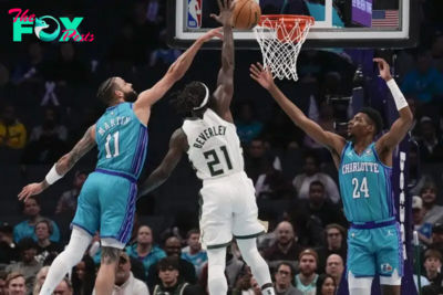 Charlotte Hornets vs Milwaukee Bucks Prediction 11-16-24 NBA Picks