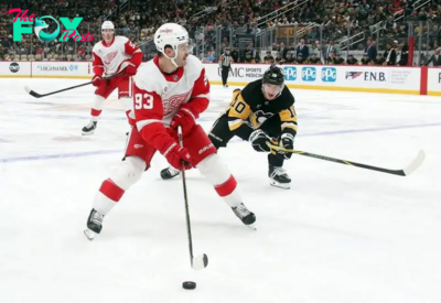 Detroit Red Wings vs. Anaheim Ducks odds, tips and betting trends - November 15, 2024