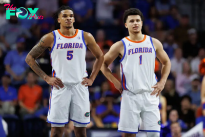 Florida vs Florida A&M Prediction 11-19-24 College Basketball Picks