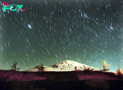 You Won’t Want to Miss the Leonid Meteor Shower. Here’s How and When You Can See It