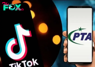 TikTok, PTA host youth safety summit in Pakistan | The Express Tribune