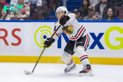 Chicago Blackhawks vs. Anaheim Ducks odds, tips and betting trends - November 19, 2024