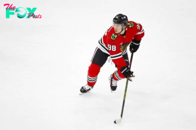 Florida Panthers vs. Chicago Blackhawks odds, tips and betting trends - November 21, 2024