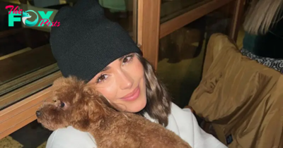 Olivia Culpo Has Been ‘So Sick’ For a Week, Thanks Her Dog For Being ‘Loyal Companion’