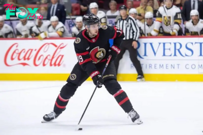 Ottawa Senators vs. Calgary Flames odds, tips and betting trends - November 25, 2024