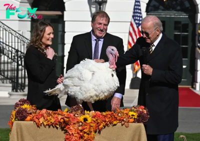 The Luxurious Lives of the Turkeys Getting a Presidential Pardon